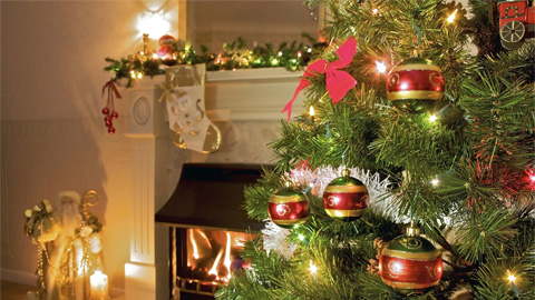 Karácsonyi levélhullás és extra örömpolgárság